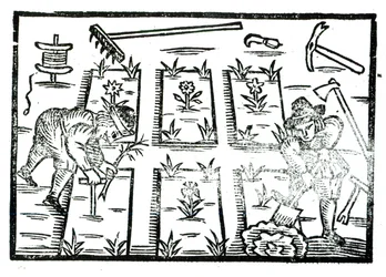 Illustration aus einem Buch über Gartenbau